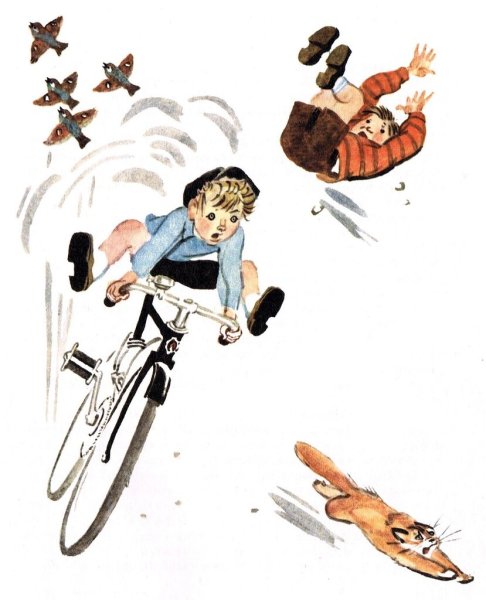 Мотогонки по отвесной стене Драгунский