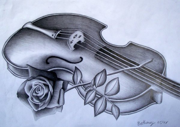 Натюрморт музыкальные инструменты карандашом