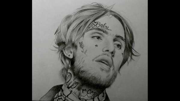 Портрет лёгкий лил Пипа