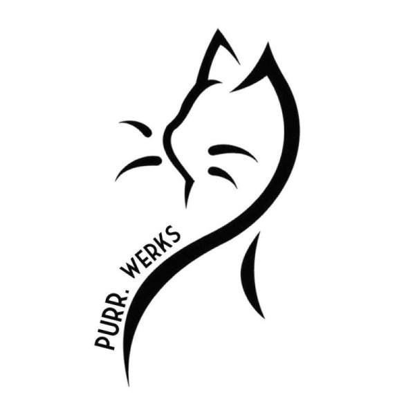 Рисунок кошки для срисовки легкие