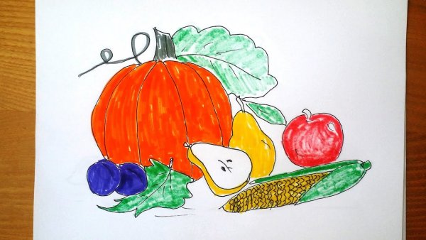 Дары осени овощи рисунок