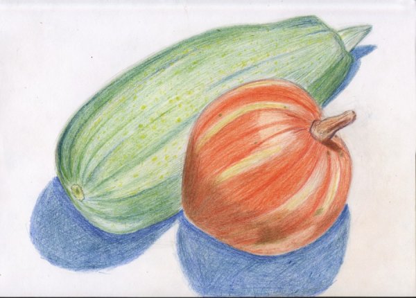 Поэтапное рисование натюрморта для детей