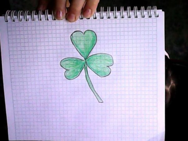 Самый красивый рисунок легкий