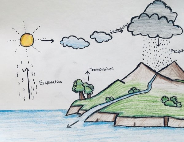 Water Cycle diagram