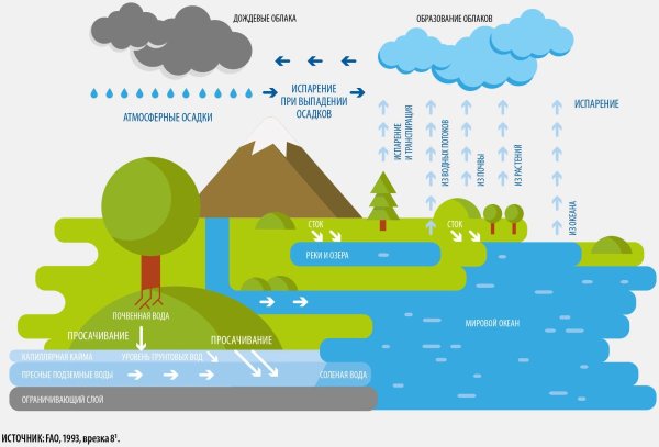 Круговорот воды в природе рисунок