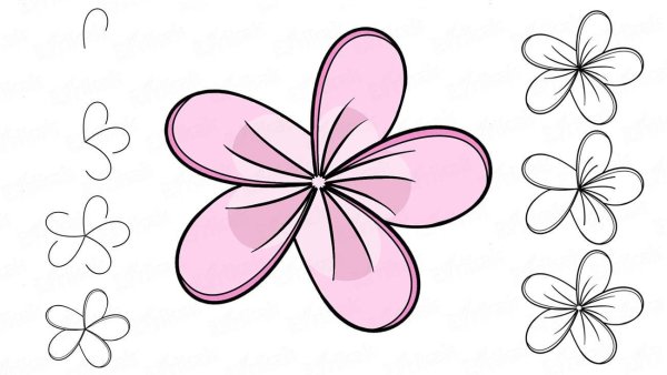 Нарисовать цветы