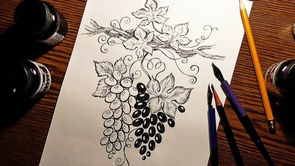 Перо для рисования