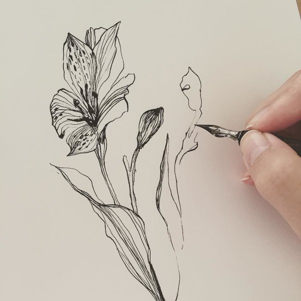 Тушь для рисования