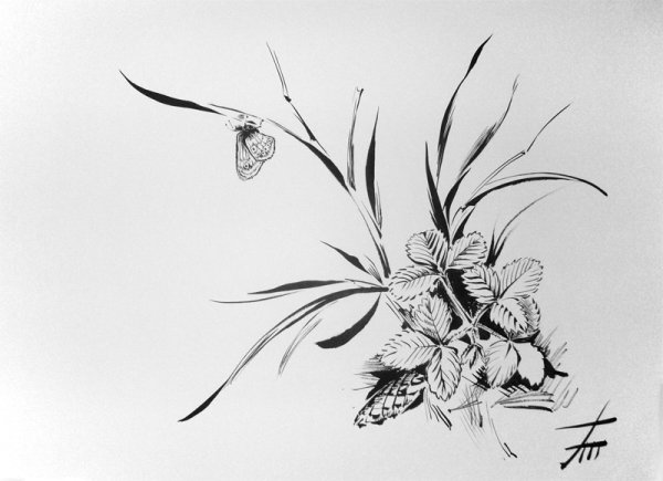 Иллюстрации тушью