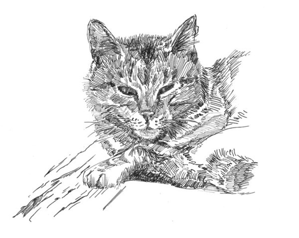 Тушь для рисования