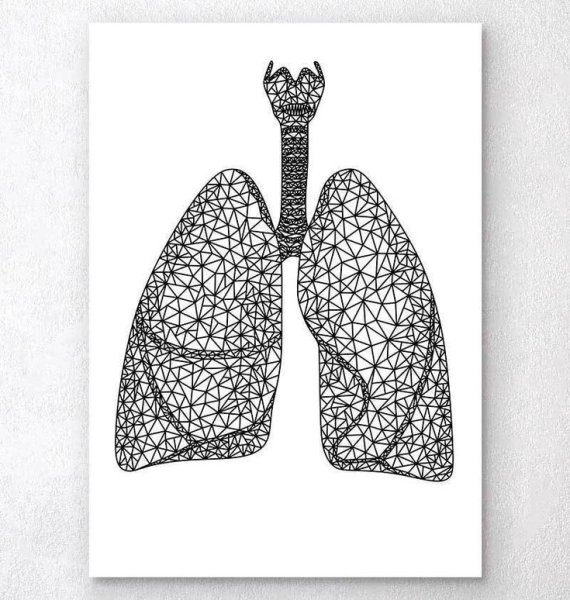 Легкие рисунки