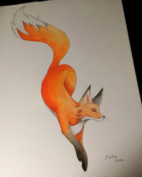 Лисички для срисовки карандашом