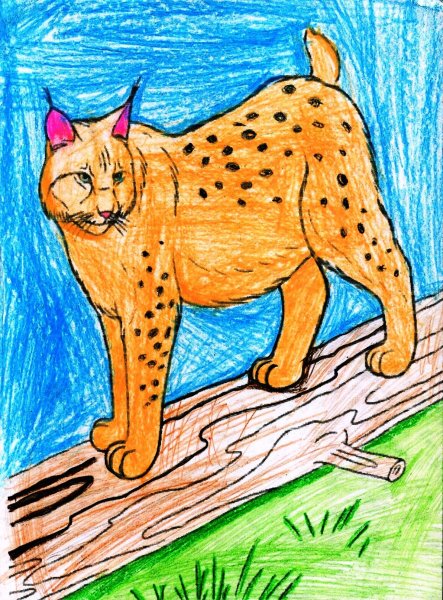 Детские рисунки животных