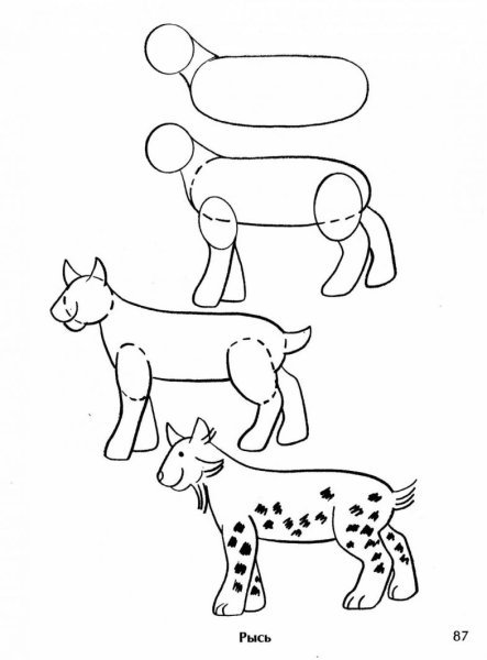 Рысь карандашом