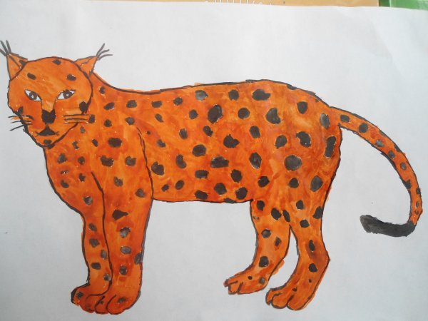 Лёгкие рисунки рыси