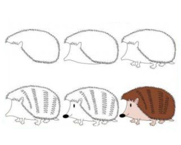 Поэтапный рисунок ежа