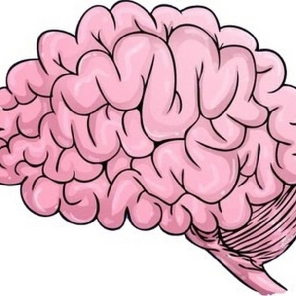 Мозг нарисованный