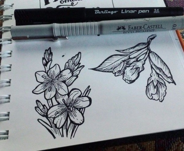 Рисунки линером для срисовки