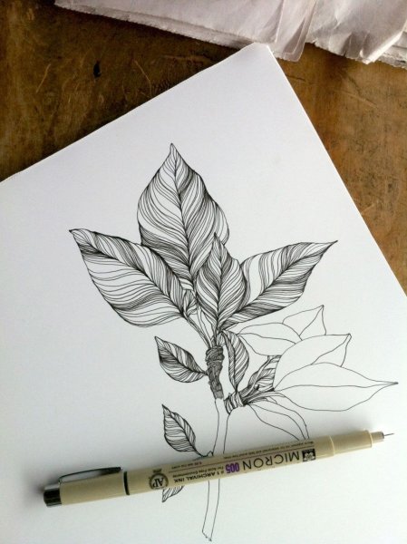 Рисунки чёрной гелевой ручкой