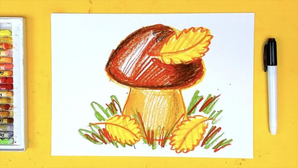 Рисование грибок осенний