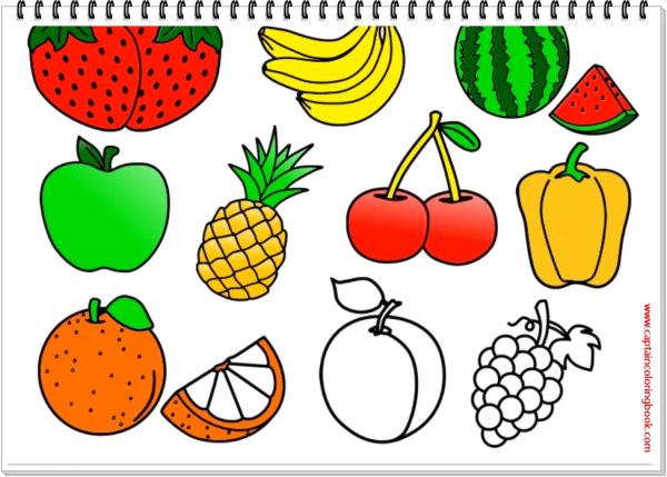 Рисование фрукты овощи тыква