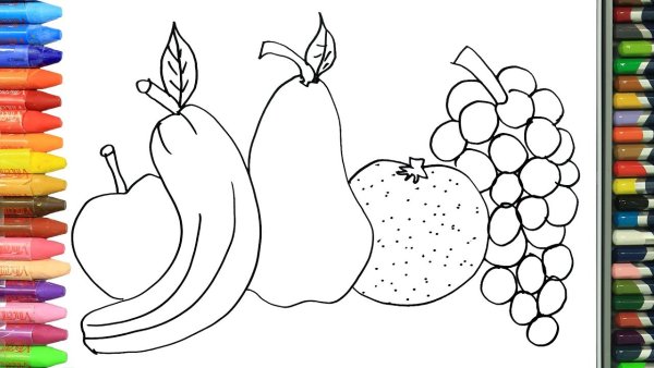 Рисование овощей и фруктов
