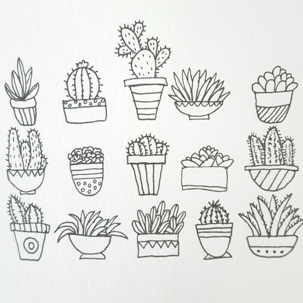 Цветок в горшке для срисовки