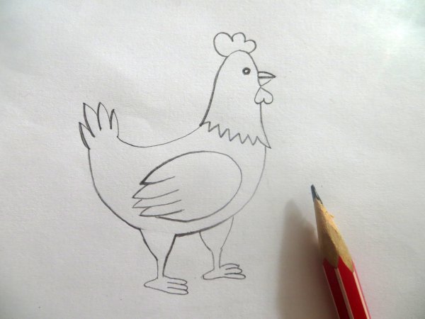 Курица для срисовки карандашом