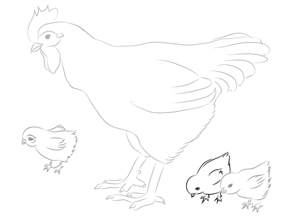 Курица для срисовки карандашом
