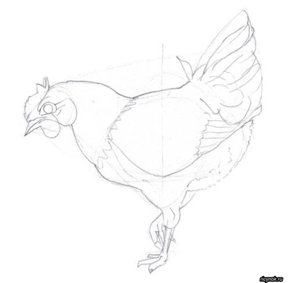 Рисунок курицы для срисовки