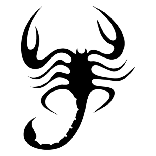 Тату сердечко с крыльями