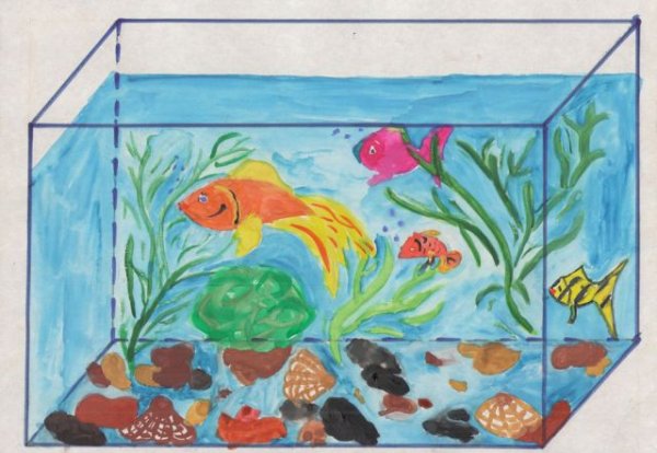 Изо рыбка в аквариуме