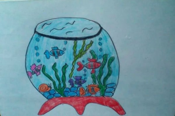 Аквариум рисование для детей