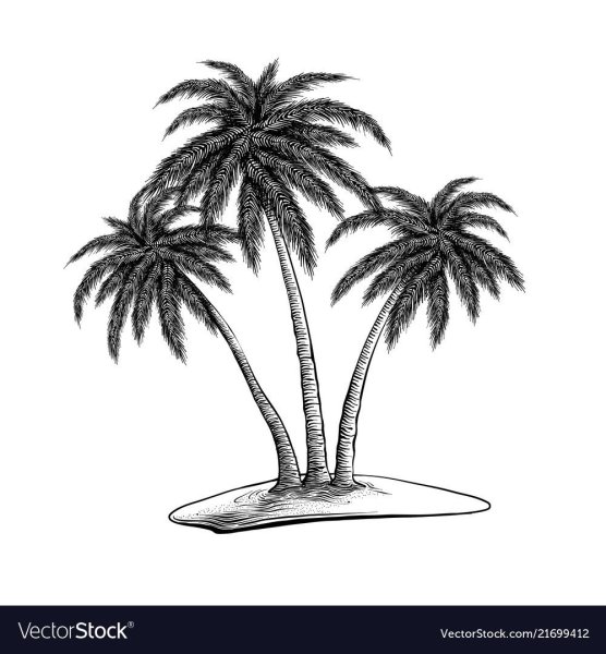 Пальма рисунок карандашом