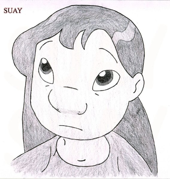 Лило карандашом