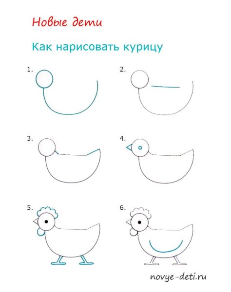 Как нарисовать курицу карандашом поэтапно для детей