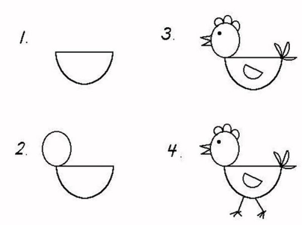 Курица поэтапное рисование