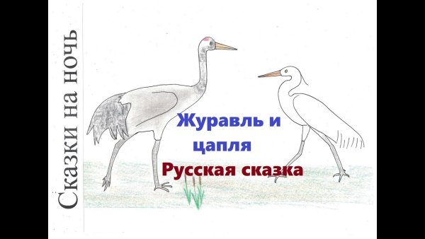Журавль и цапля рисунок