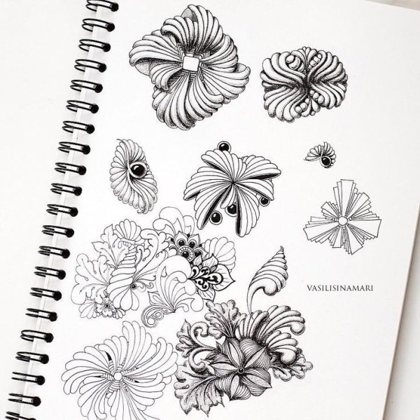 Керби Розанес кит