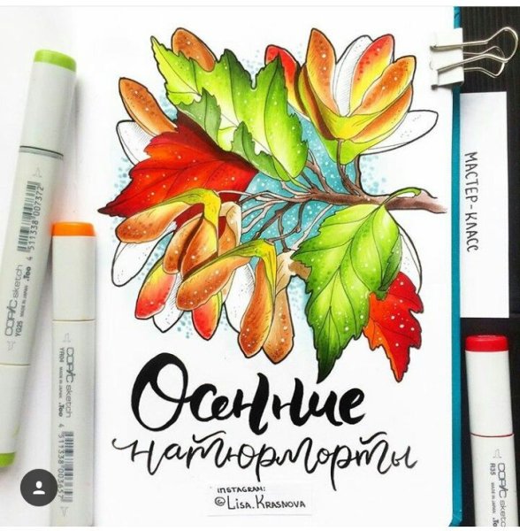 Лиза Краснова маркеры