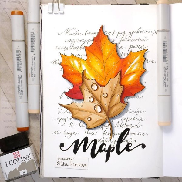Осенний скетч маркерами