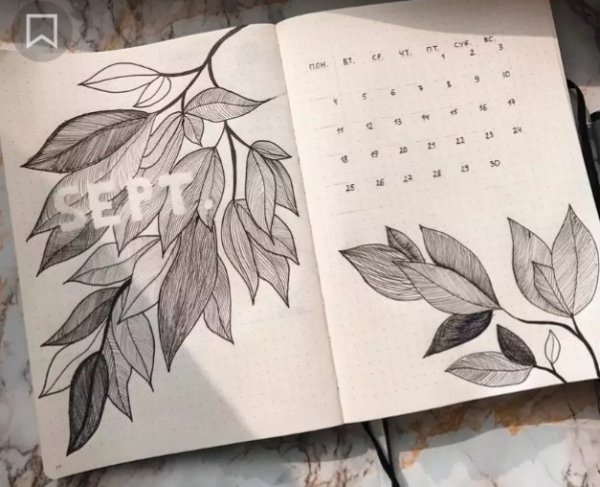 Рисунки для скетчбука листья