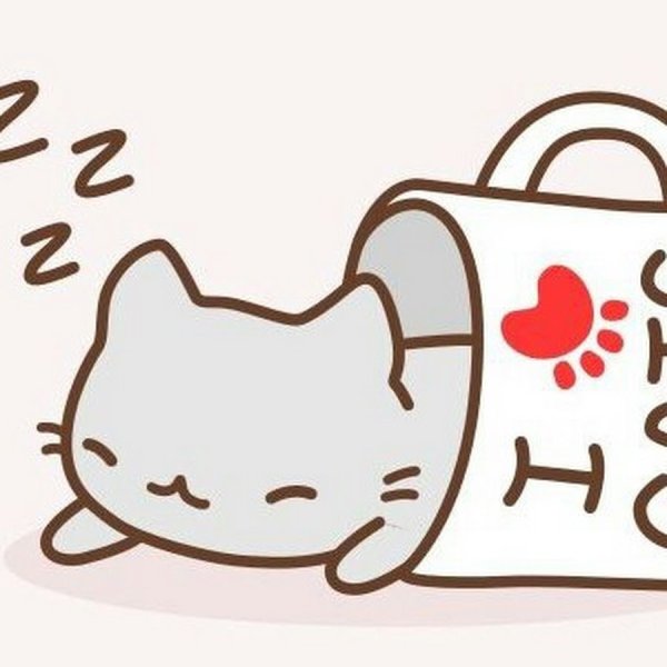 Кавайные котики в кружке