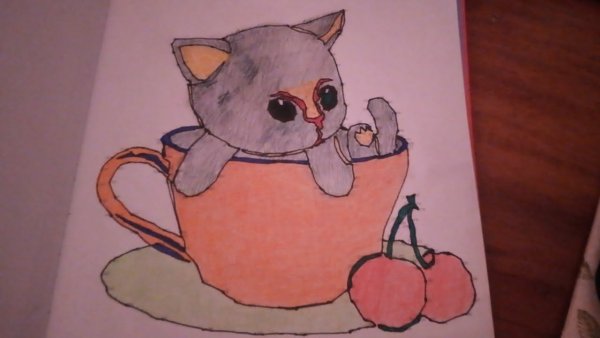 Котик в кружке рисунок для срисовки