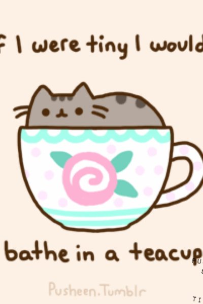 Кавайные котики в кружках