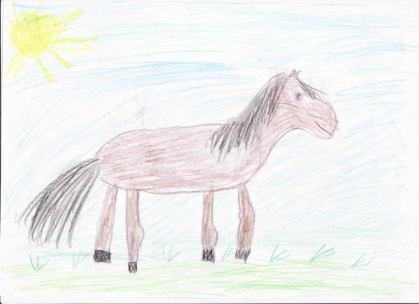 Сивка бурка легкая