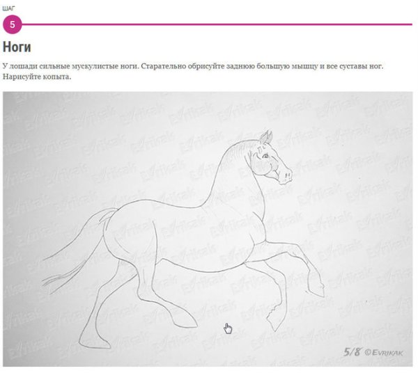 Как нарисовать сивку бурку