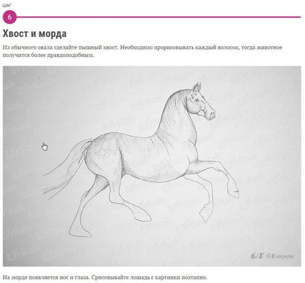 Иллюстрация к сказке Сивка бурка детский рисунок