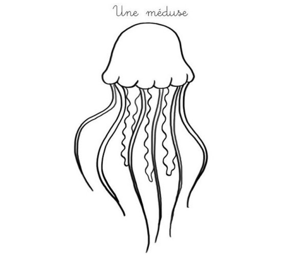 Медуза контур