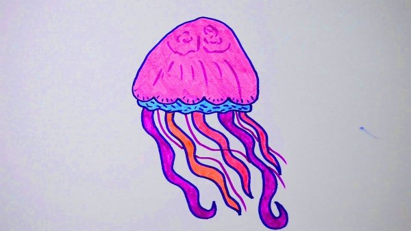 Медузы рисунки лёгкие